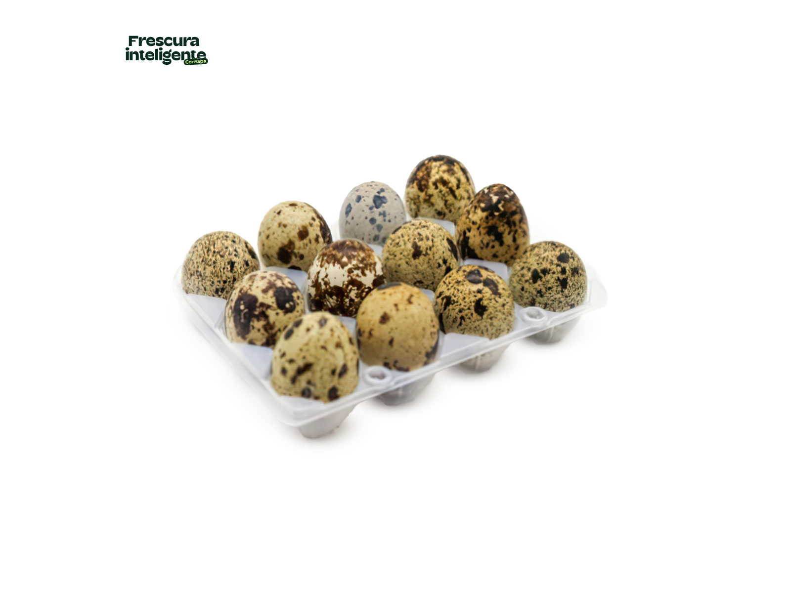 Huevos Codorniz