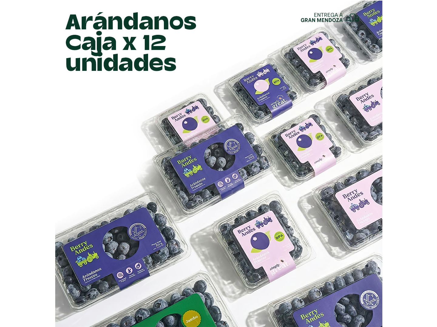 Arándanos — Caja x 12 unidades