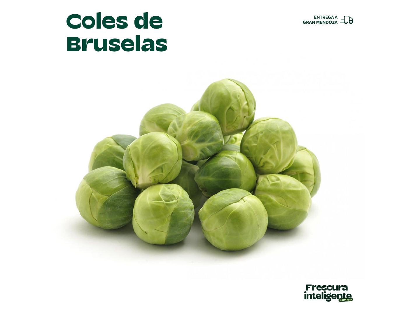 Col de bruselas