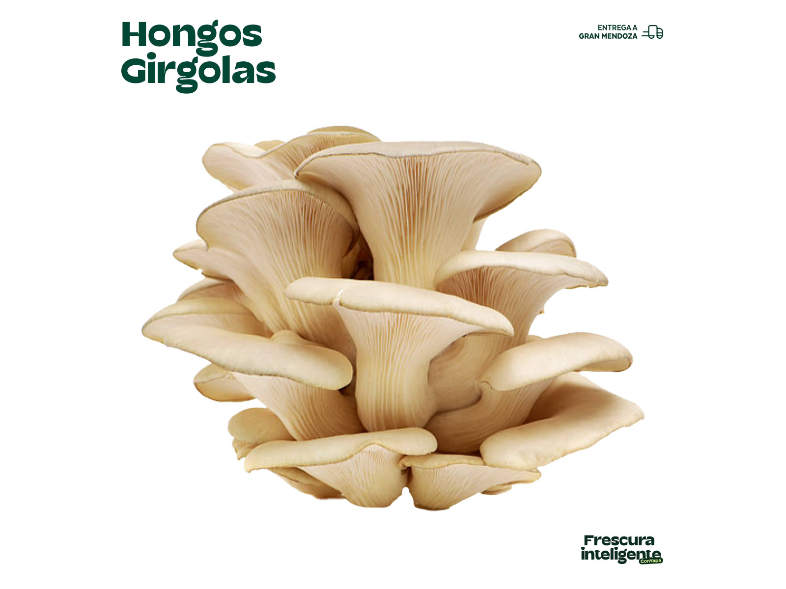 Hongos girgolas (280 g)