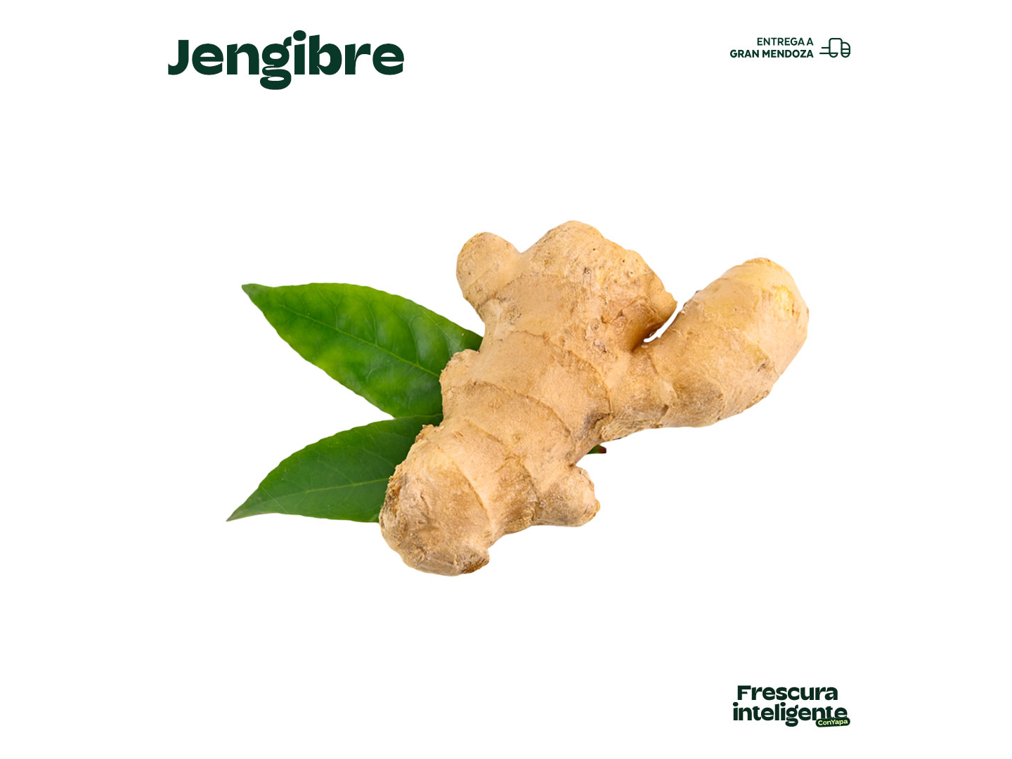 Jengibre (200 g)