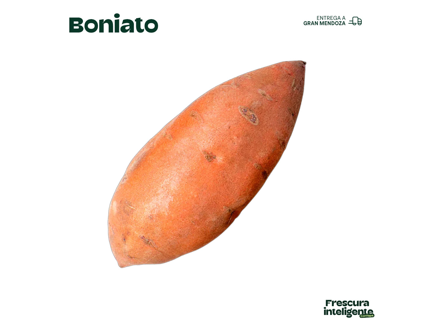 Boniato
