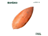Boniato