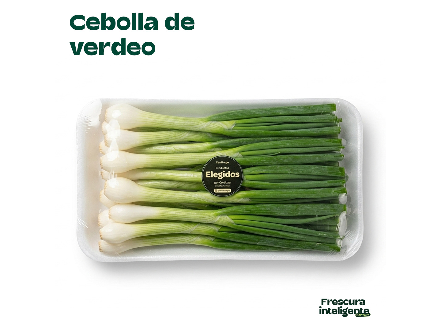 Cebolla verdeo