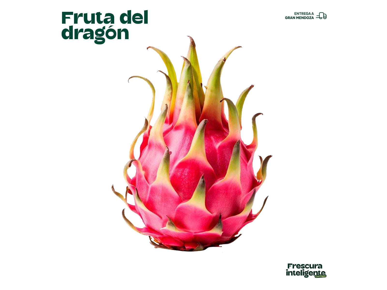 Pitahaya