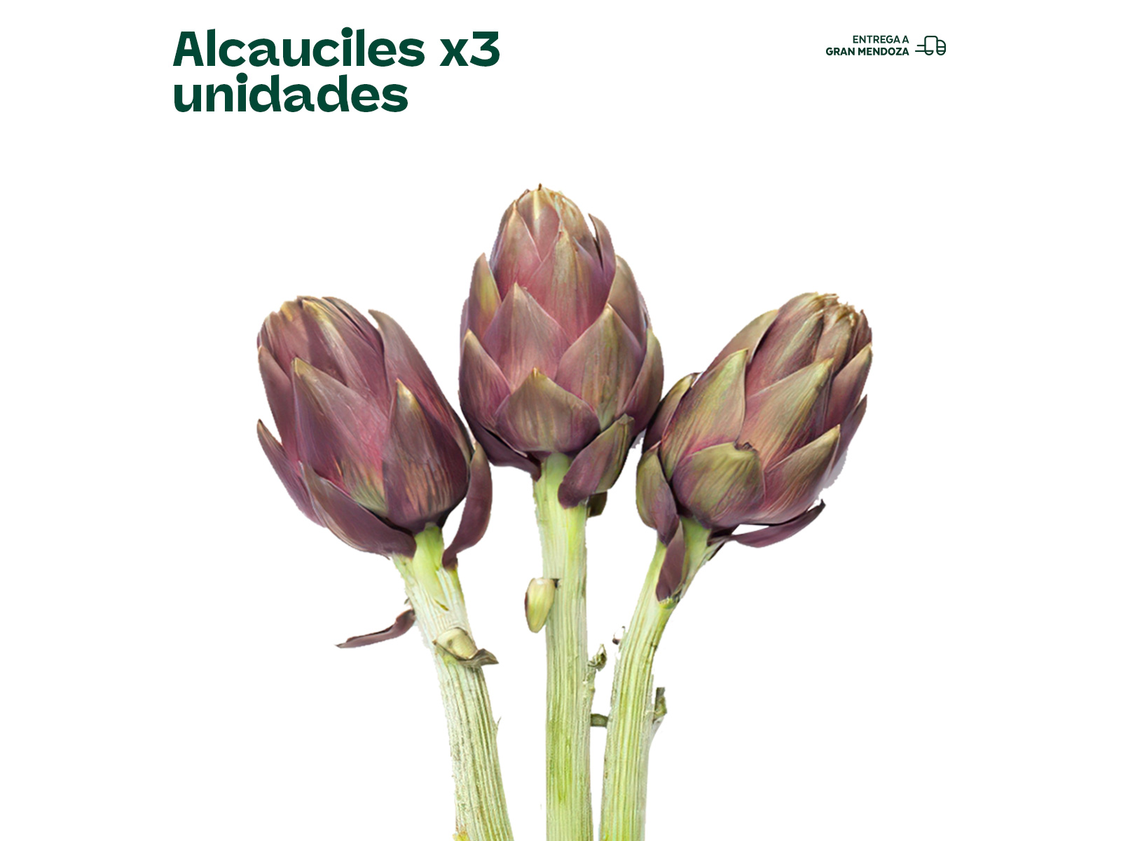 Alcauciles x3 unidades
