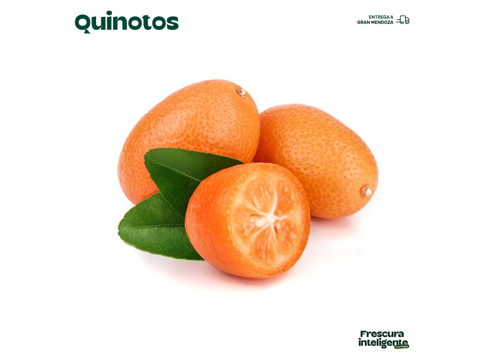 Kinotos