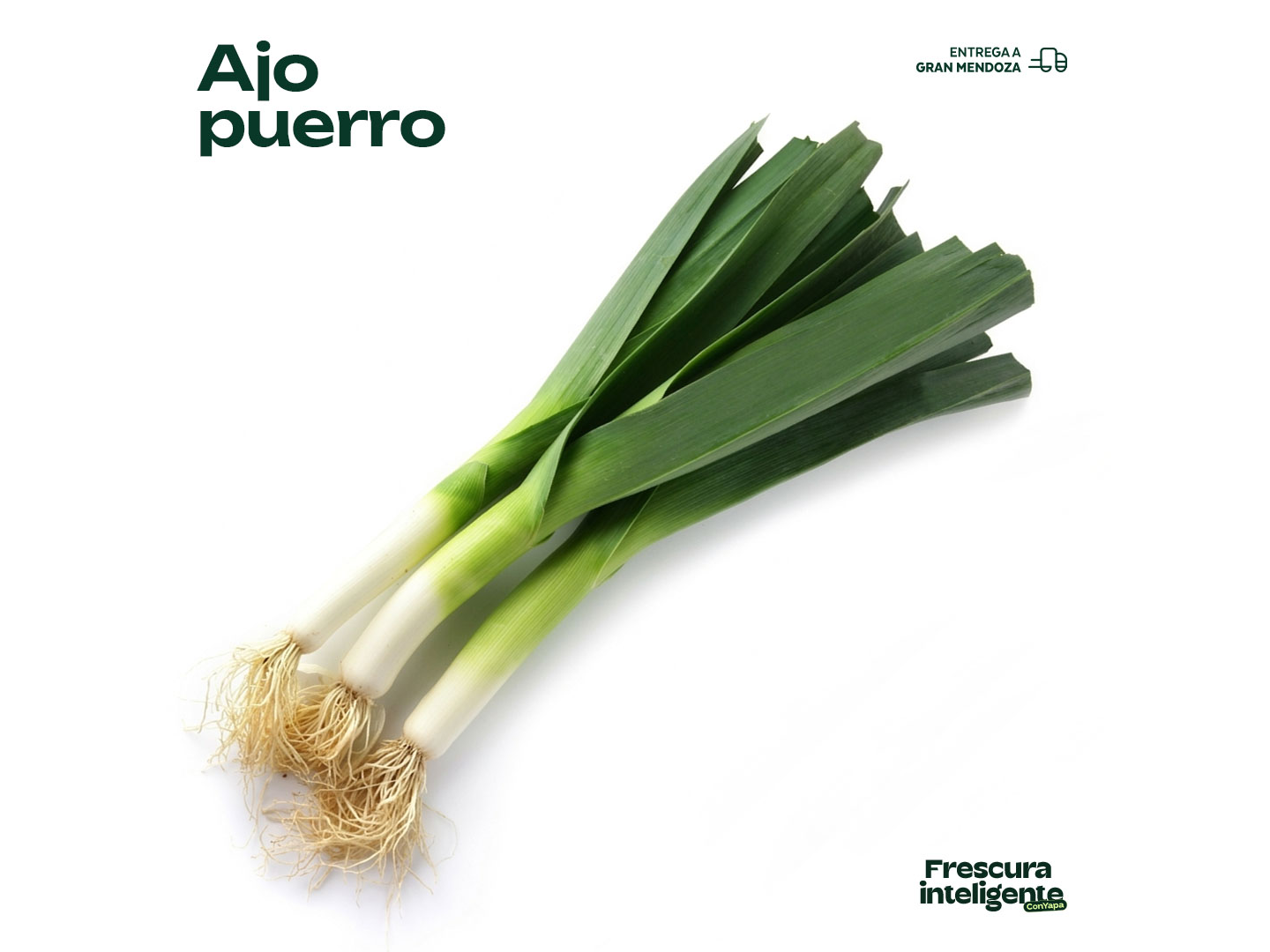 Ajo Puerro