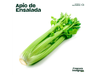 Apio ensal.