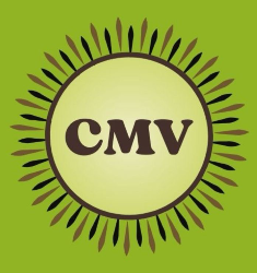 Logo Correctamenteverde