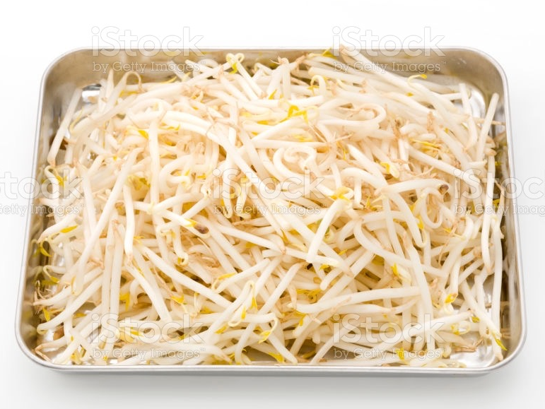 Brotes de Soja