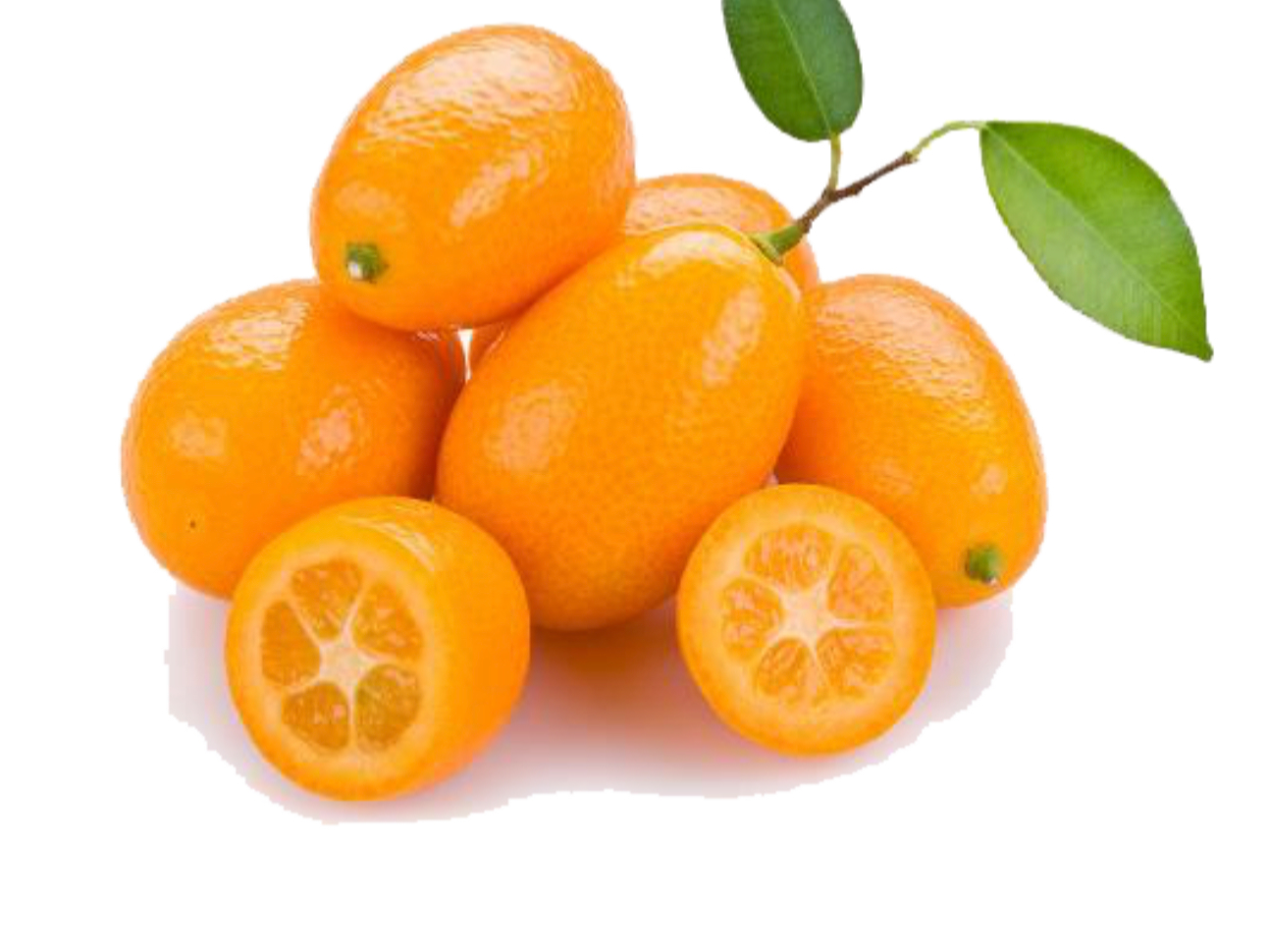 Quinotos