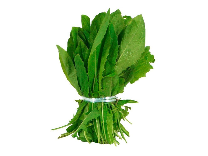 Achicoria