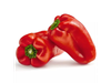 PIMIENTO ROJO