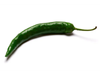 Aji Chile Jalapeño 🌶️