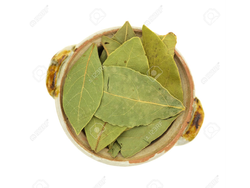 Laurel