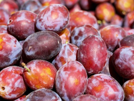 Ciruela