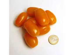 Tomate cherry