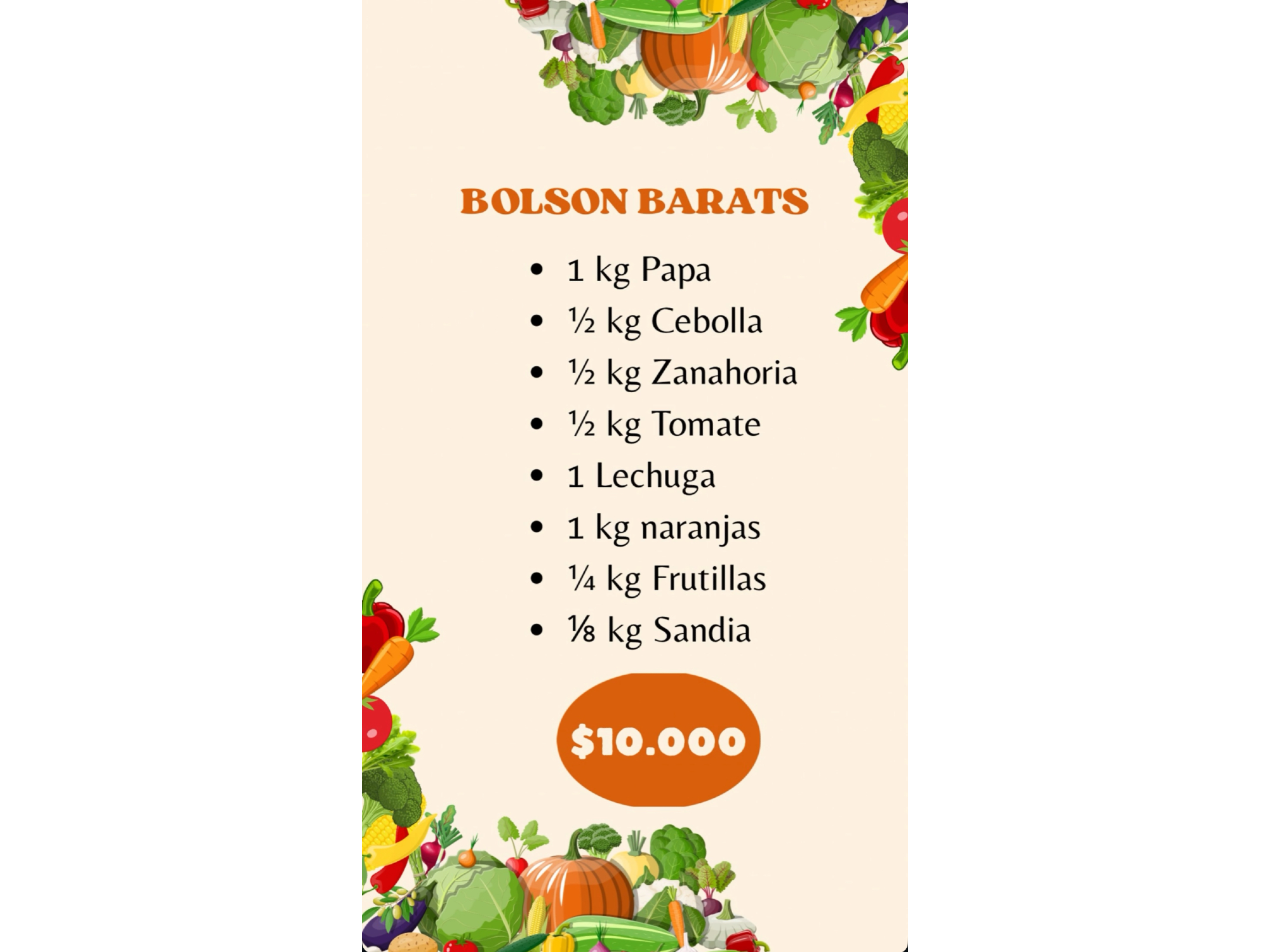 Bolsón BARATS