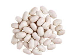POROTOS DE ALUBIA