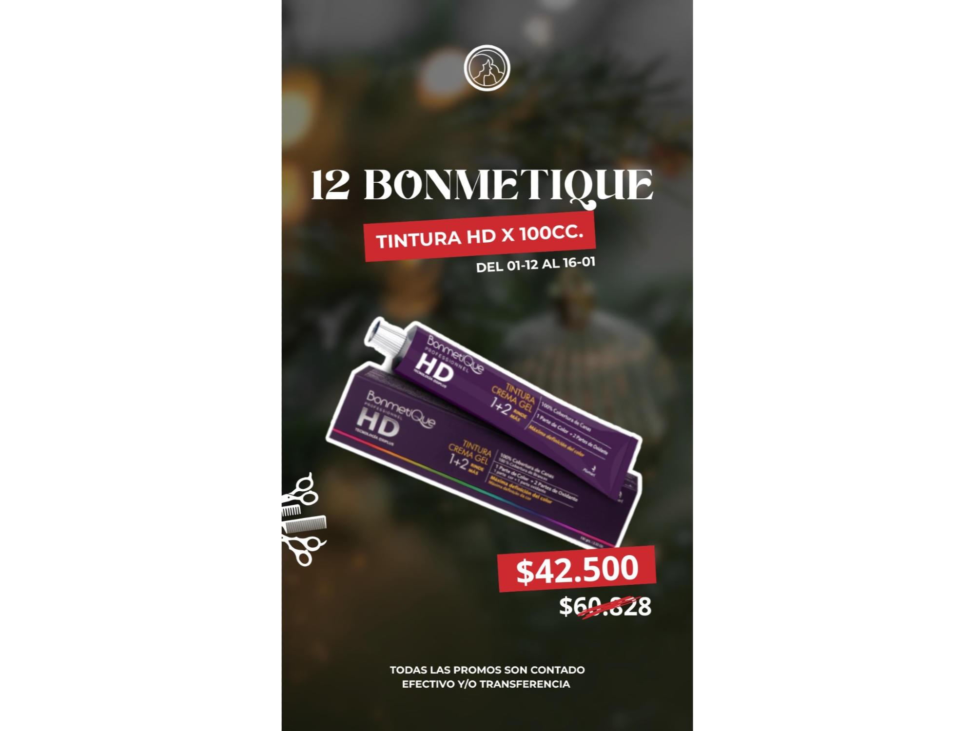 BONMETIQUE - 12 TINTURAS HD x 100grs.