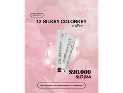 SILKEY - 12 TINTURAS COLORKEY X 120grs.