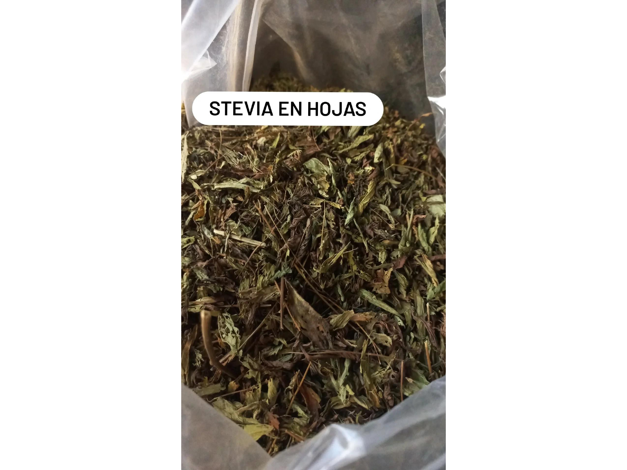 Stevia en hojas