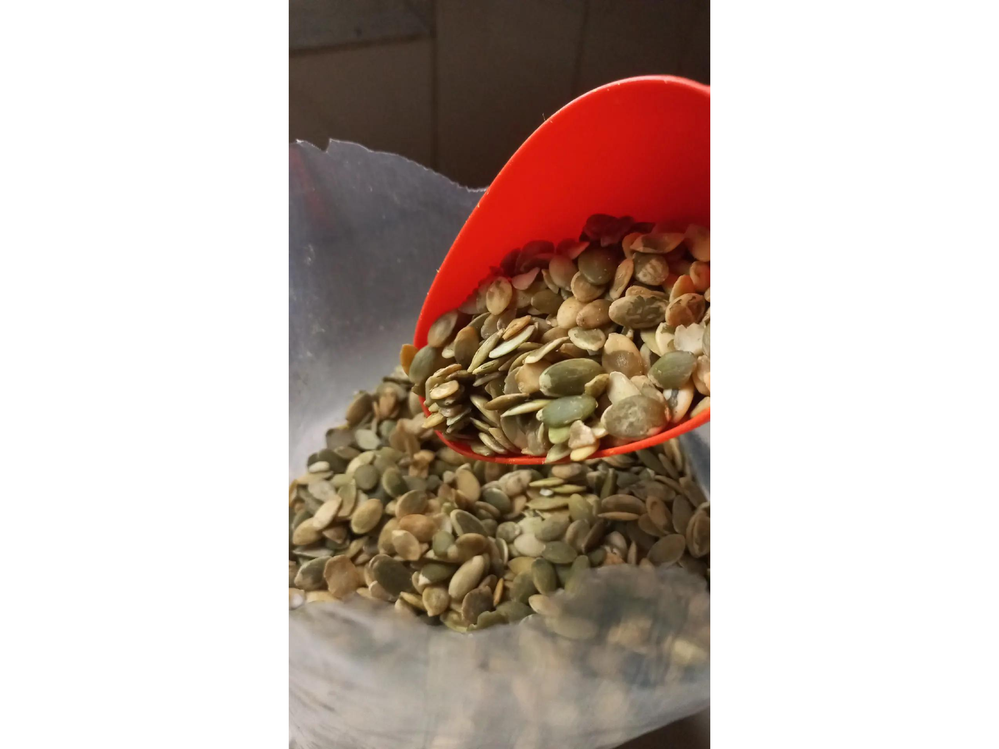 Semillas de zapallo