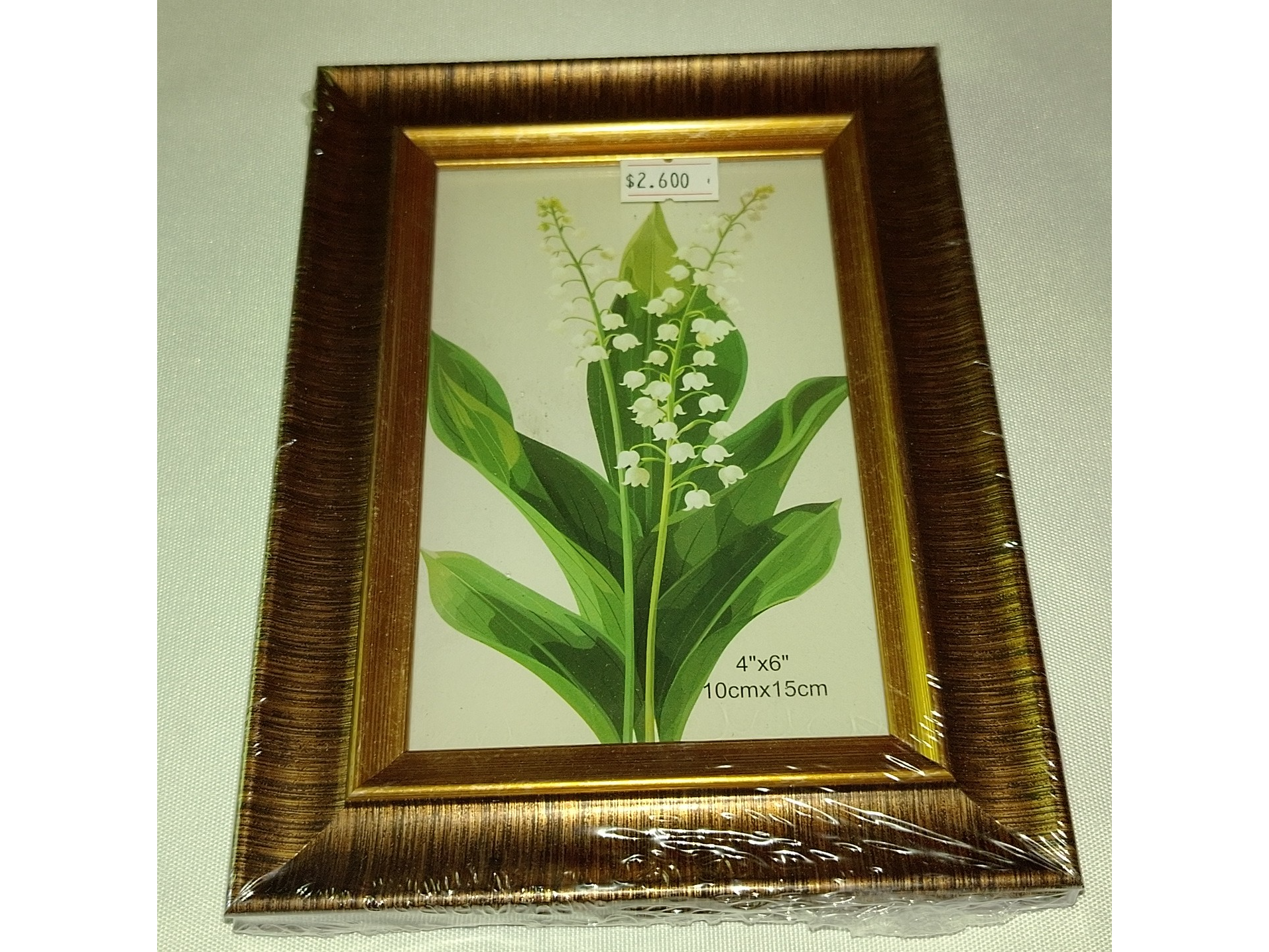 Cuadro Porta Foto 10 cm X 15 cm