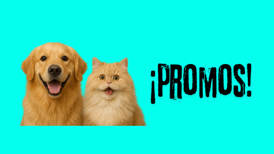 PROMOCIONES