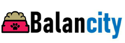 Logo Balancity