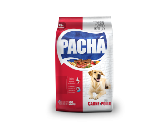 Pachá