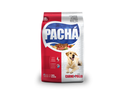 Pachá