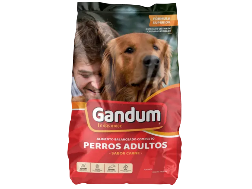 Gandum