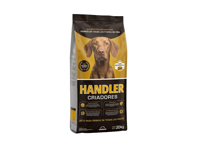 Handler