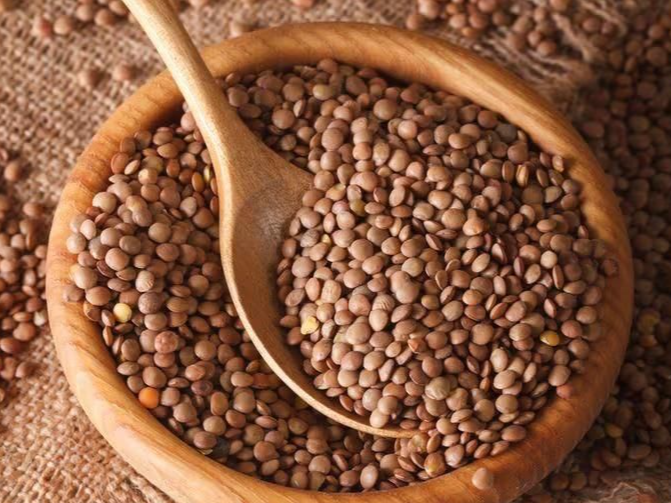 Lenteja de Primera