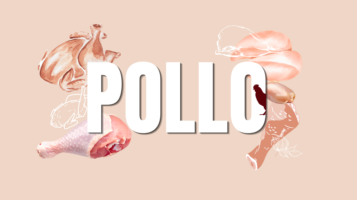 POLLO