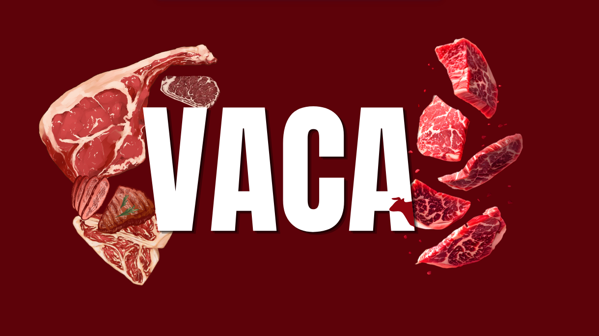 CARNE VACUNA
