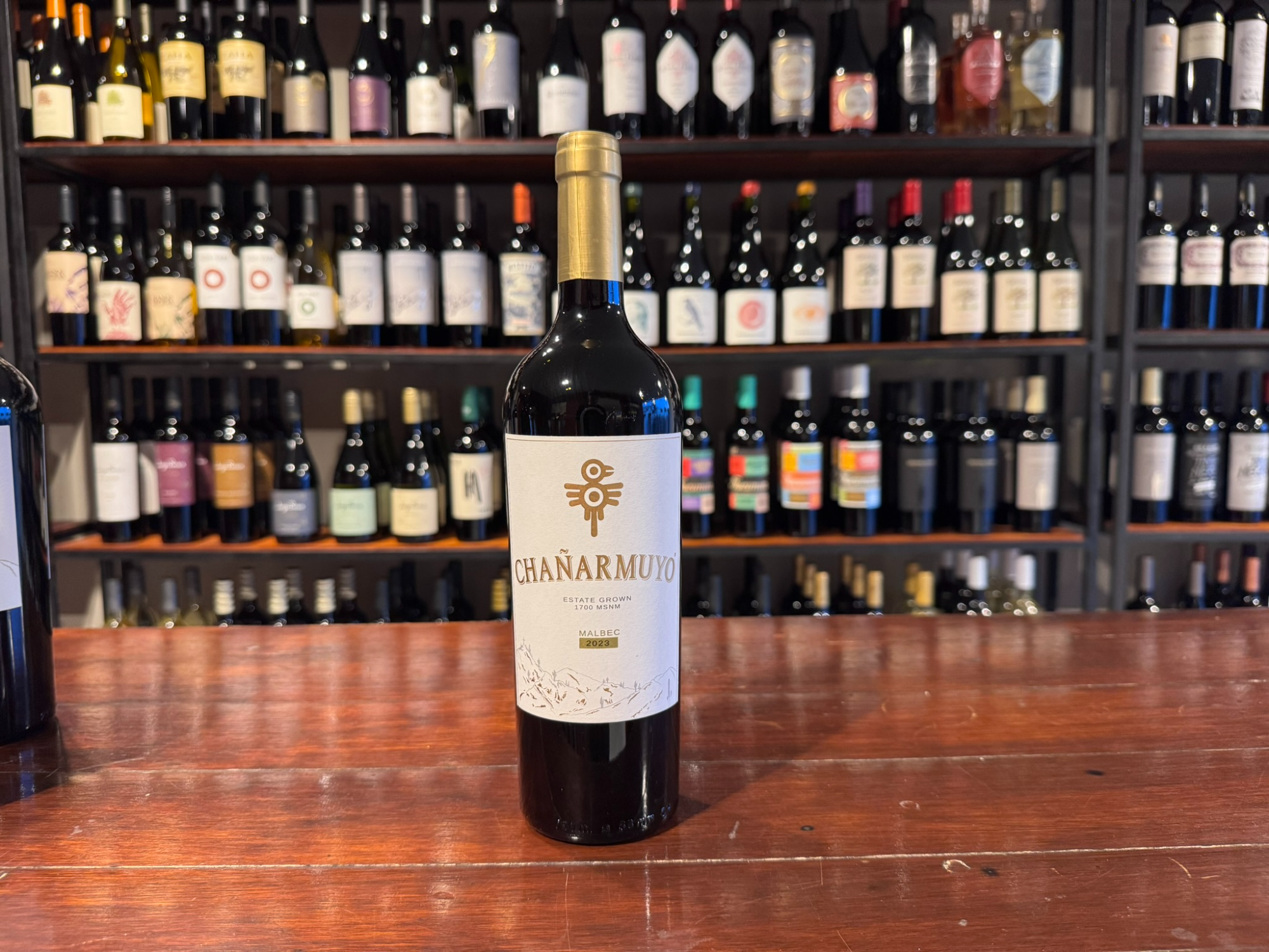 Chañarmuyo Estate Malbec