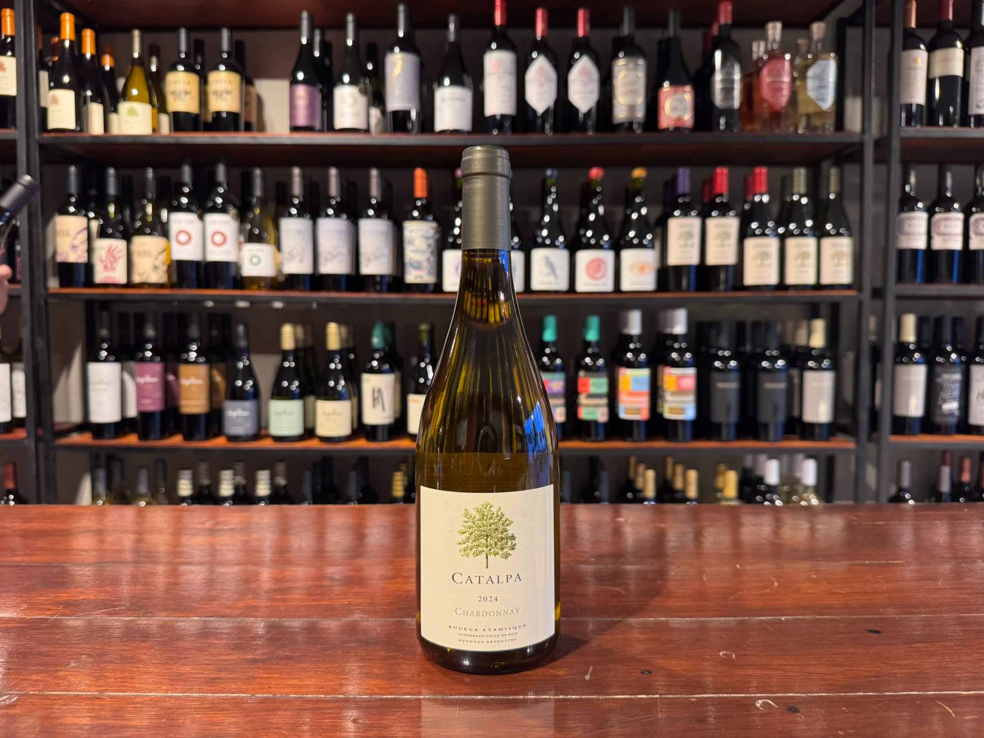 Catalpa Chardonnay