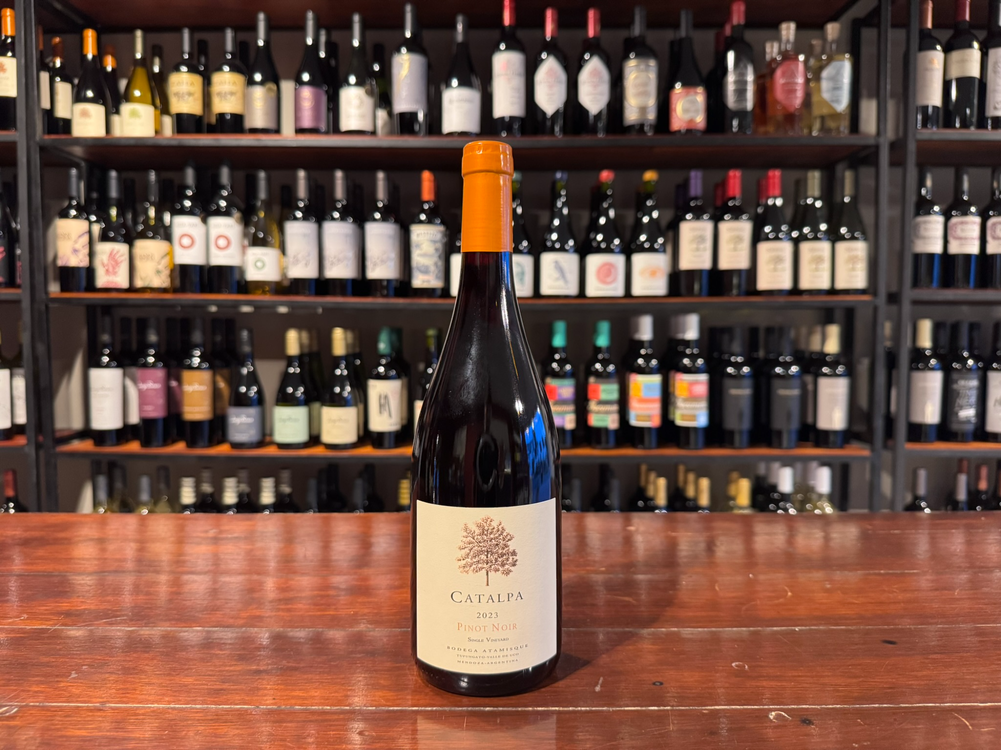 Catalpa Pinot Noir