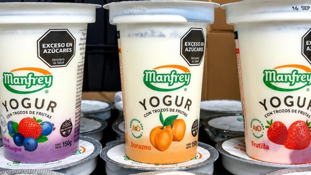 Yogures con trozos de frutas