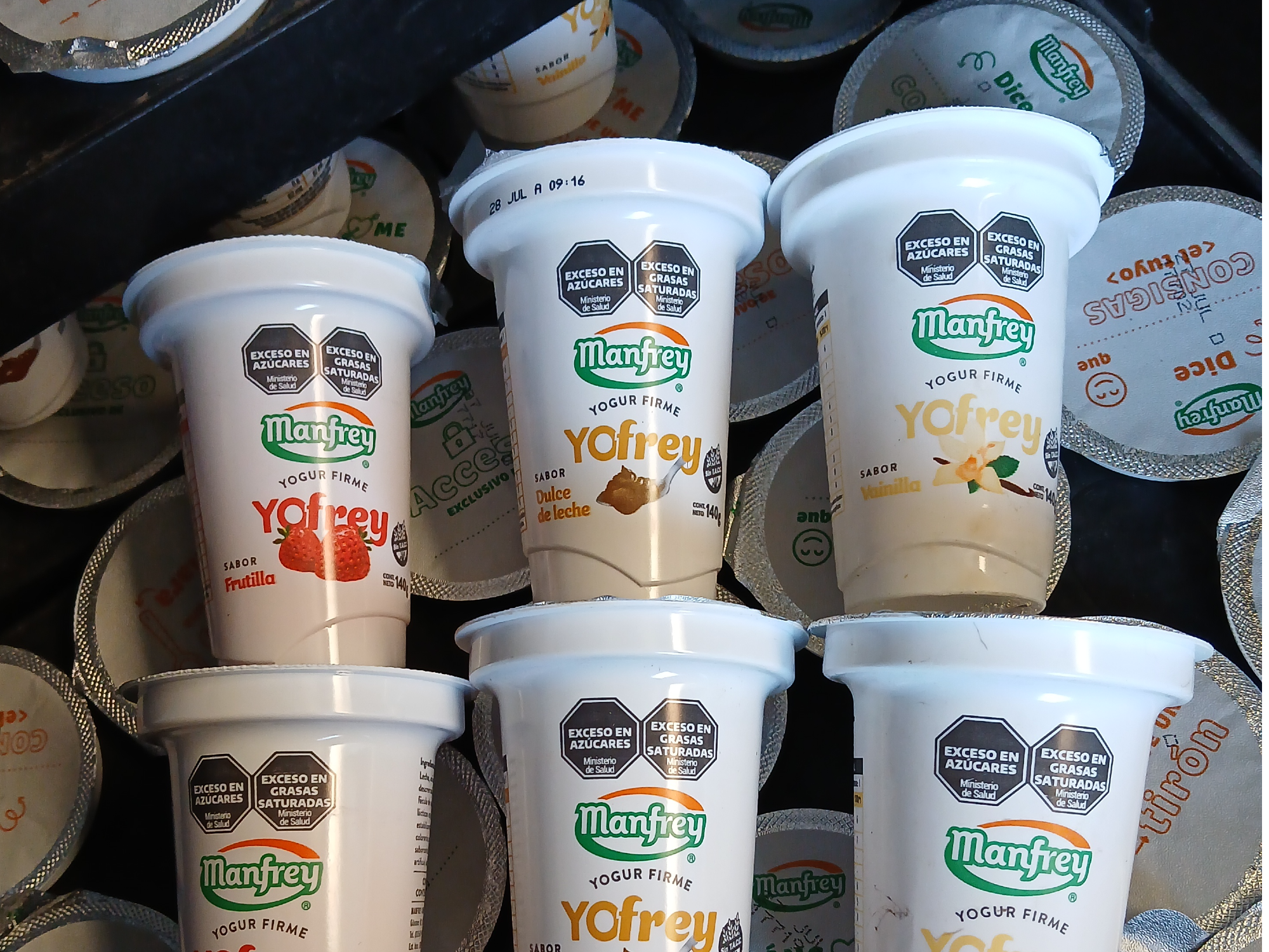 Yogur firme bandeja x 20u