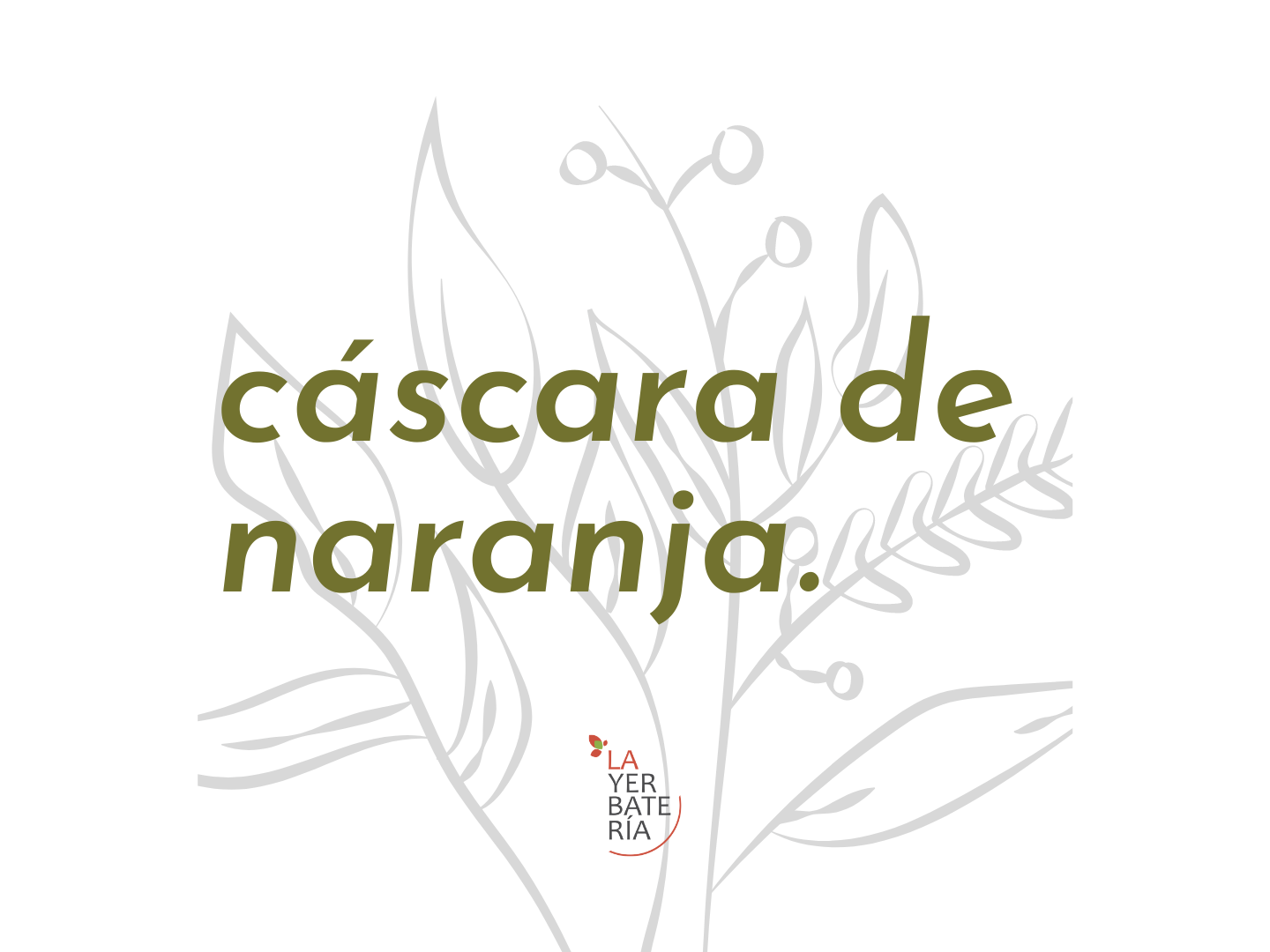 Cáscara de Naranja