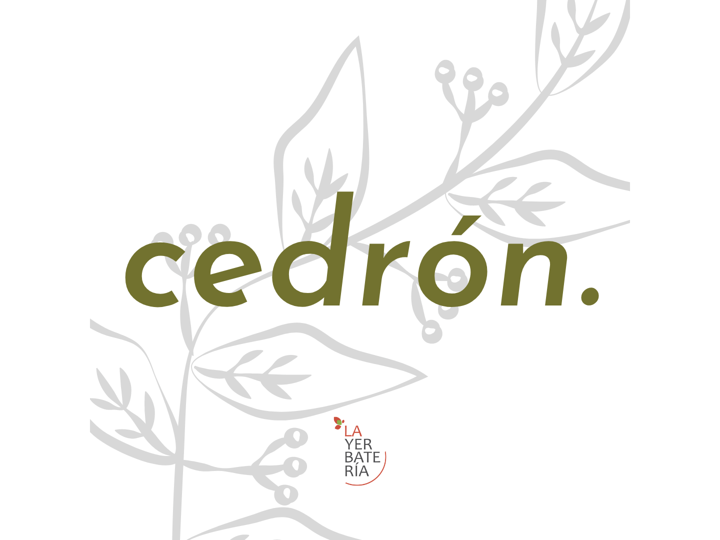 Cedrón