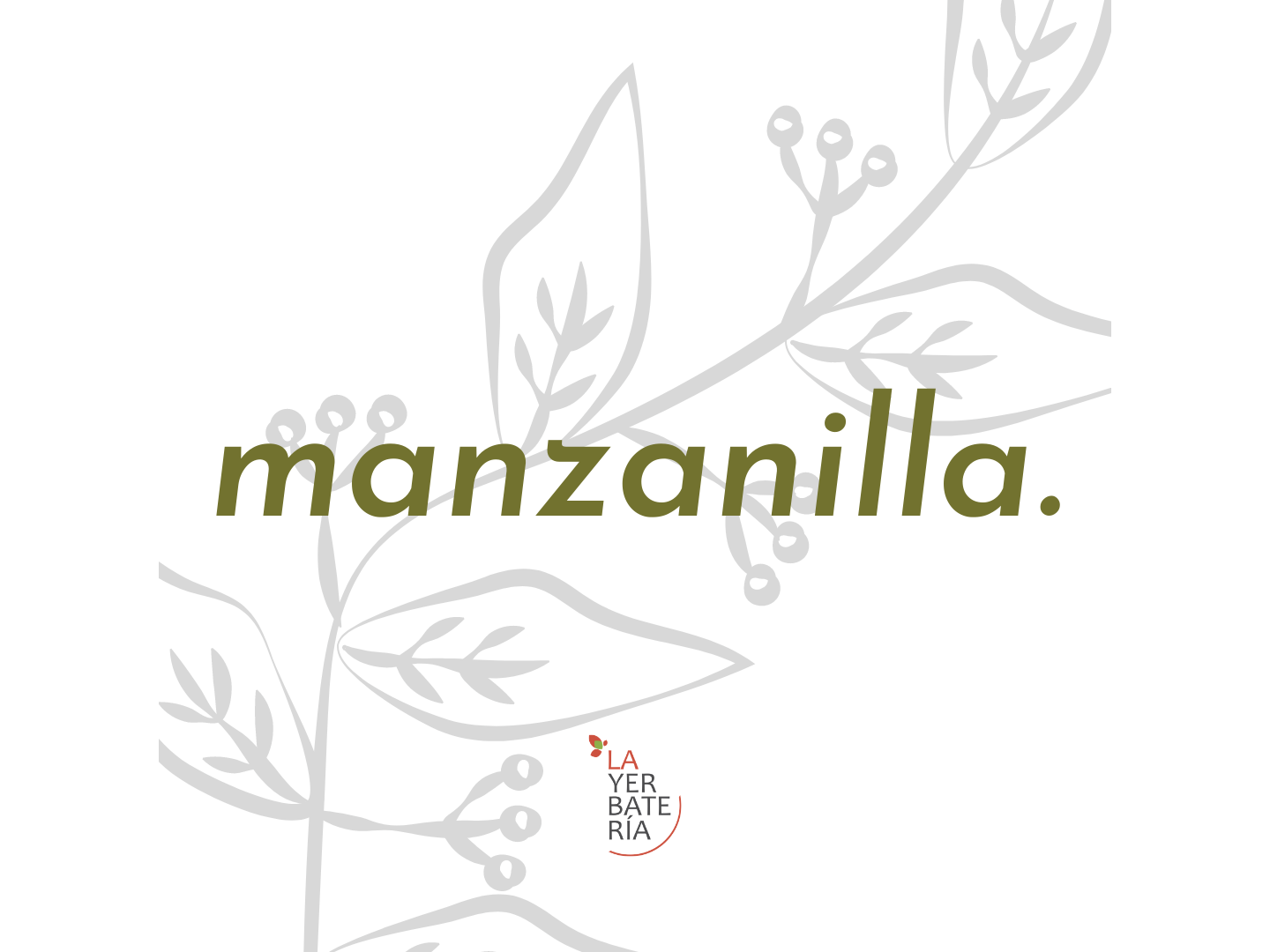 Manzanilla