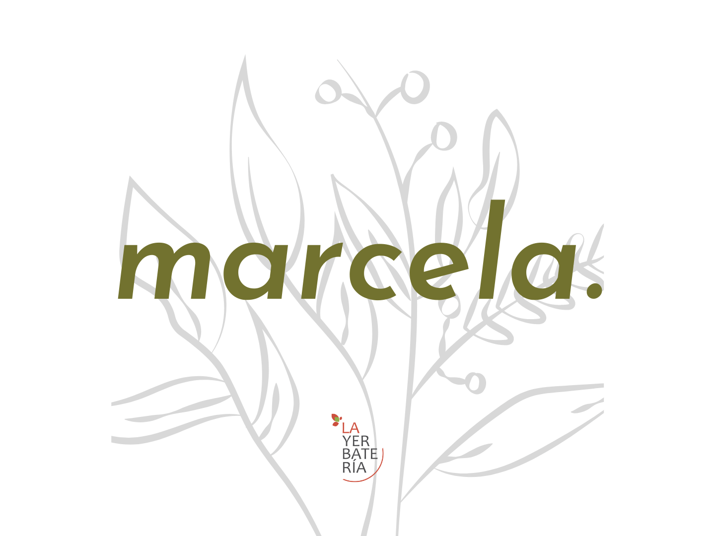 Marcela