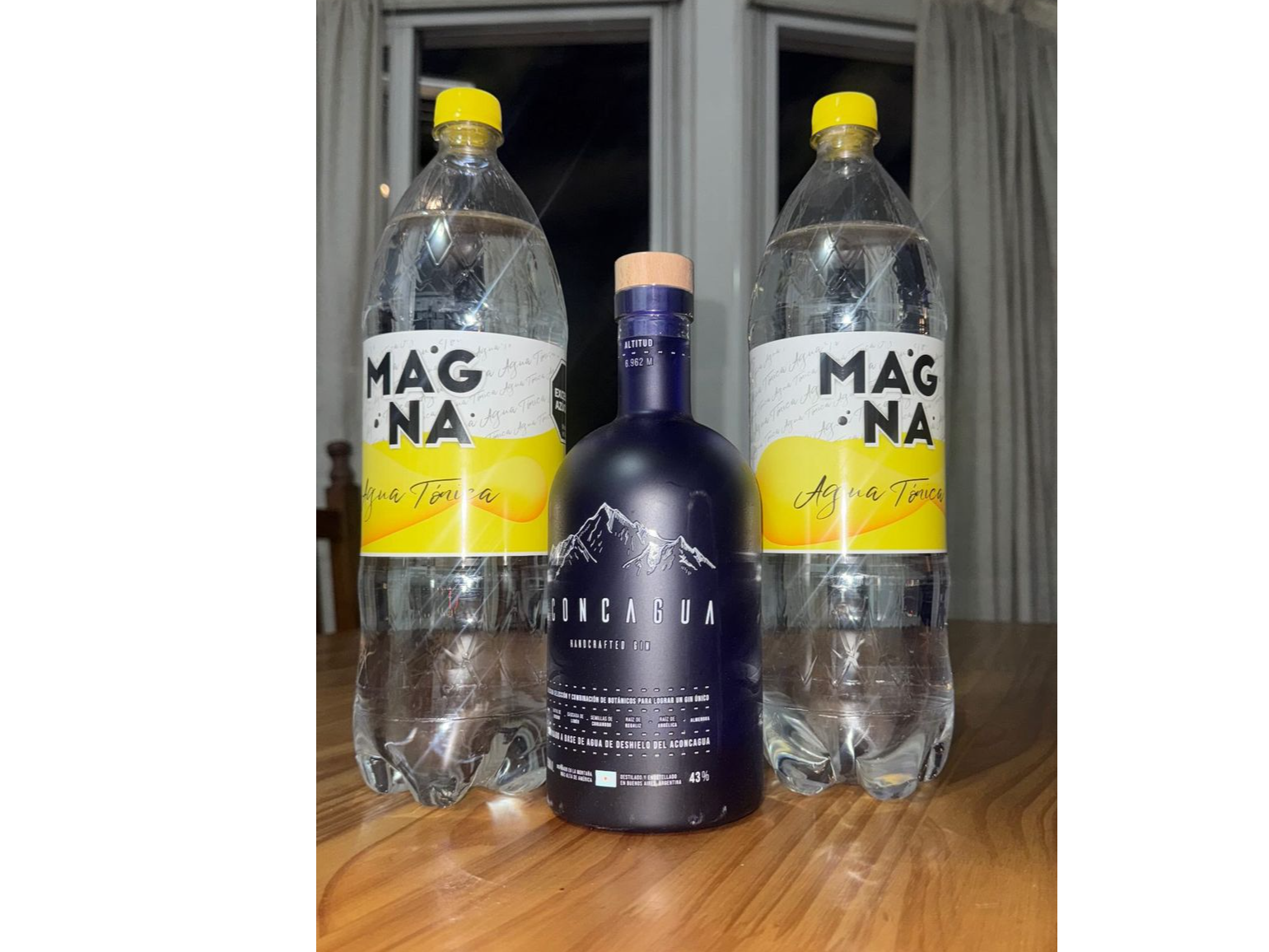 GIN ACONCAGUA  REGULAR + 2 TONICAS MAGNA 1,5L