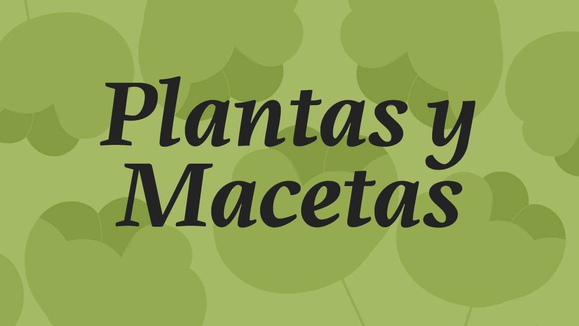 Plantas y Macetas