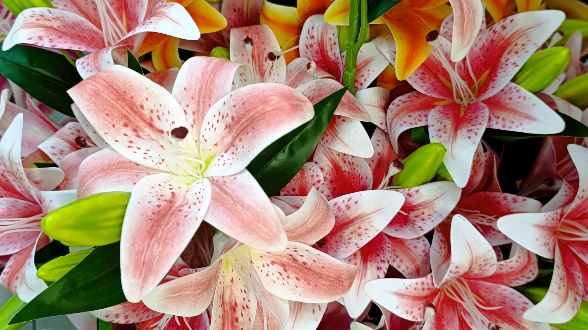 Flores Plastico